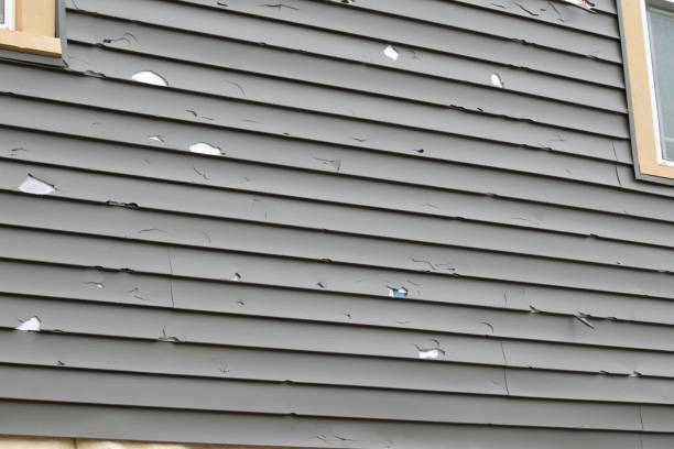 Best Aluminum Siding Installation  in Privateer, SC